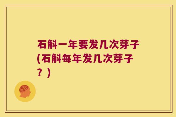 石斛一年要发几次芽子(石斛每年发几次芽子？)