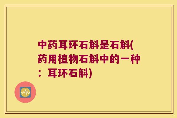中药耳环石斛是石斛(药用植物石斛中的一种：耳环石斛)