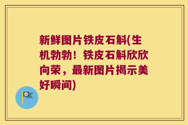 新鲜图片铁皮石斛(生机勃勃！铁皮石斛欣欣向荣，最新图片揭示美好瞬间)