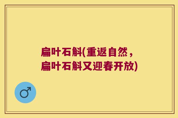 扁叶石斛(重返自然，扁叶石斛又迎春开放)