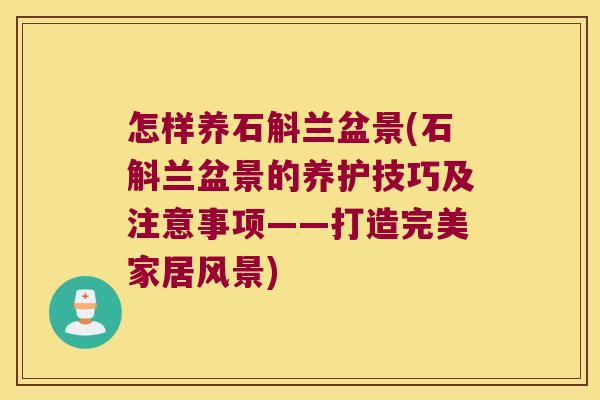 怎样养石斛兰盆景(石斛兰盆景的养护技巧及注意事项——打造完美家居风景)