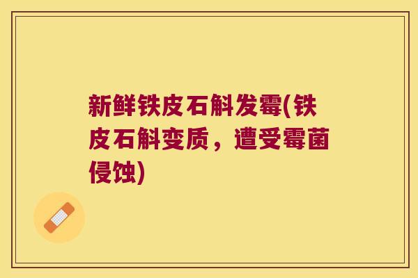 新鲜铁皮石斛发霉(铁皮石斛变质，遭受霉菌侵蚀)