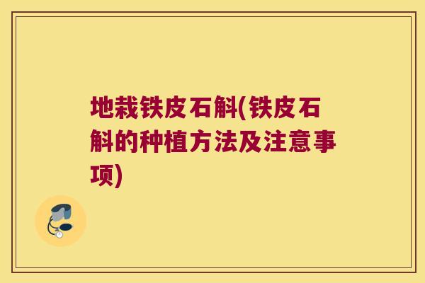 地栽铁皮石斛(铁皮石斛的种植方法及注意事项)