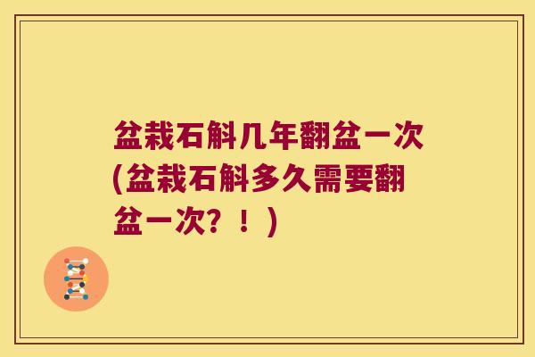盆栽石斛几年翻盆一次(盆栽石斛多久需要翻盆一次？！)