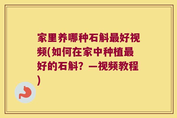 家里养哪种石斛最好视频(如何在家中种植最好的石斛？—视频教程)