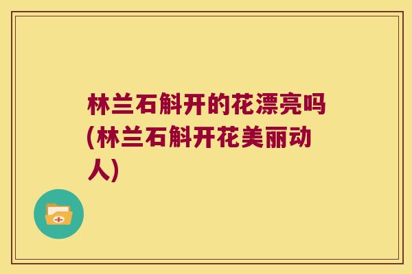 林兰石斛开的花漂亮吗(林兰石斛开花美丽动人)