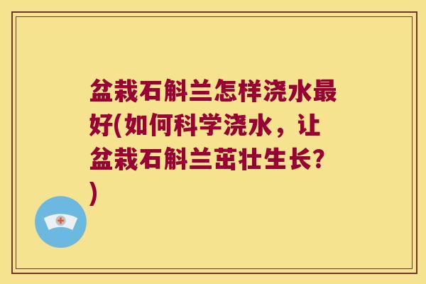 盆栽石斛兰怎样浇水最好(如何科学浇水，让盆栽石斛兰茁壮生长？)