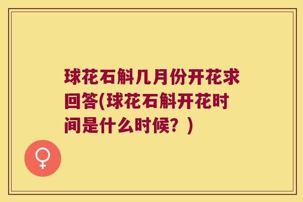 球花石斛几月份开花求回答(球花石斛开花时间是什么时候？)