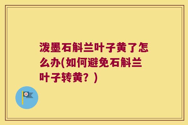 泼墨石斛兰叶子黄了怎么办(如何避免石斛兰叶子转黄？)