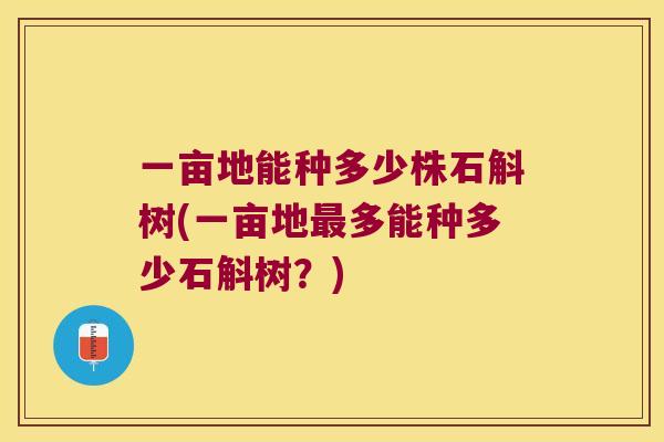 一亩地能种多少株石斛树(一亩地最多能种多少石斛树？)