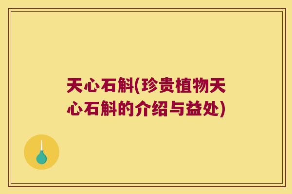 天心石斛(珍贵植物天心石斛的介绍与益处)