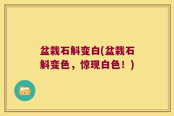 盆栽石斛变白(盆栽石斛变色，惊现白色！)