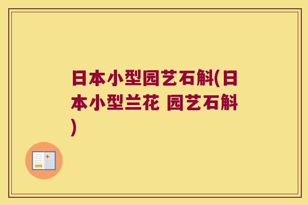 日本小型园艺石斛(日本小型兰花 园艺石斛)