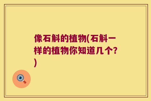 像石斛的植物(石斛一样的植物你知道几个？)