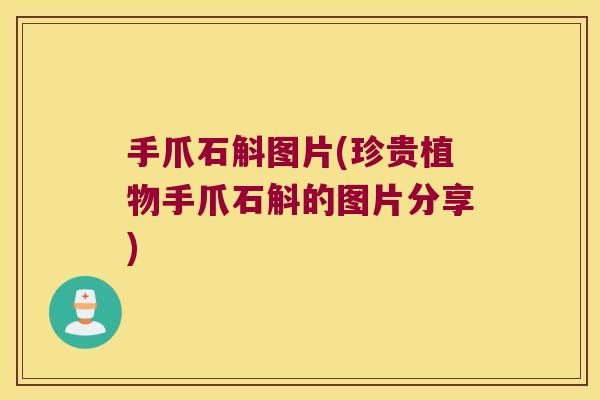 手爪石斛图片(珍贵植物手爪石斛的图片分享)