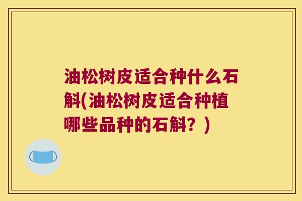 油松树皮适合种什么石斛(油松树皮适合种植哪些品种的石斛？)