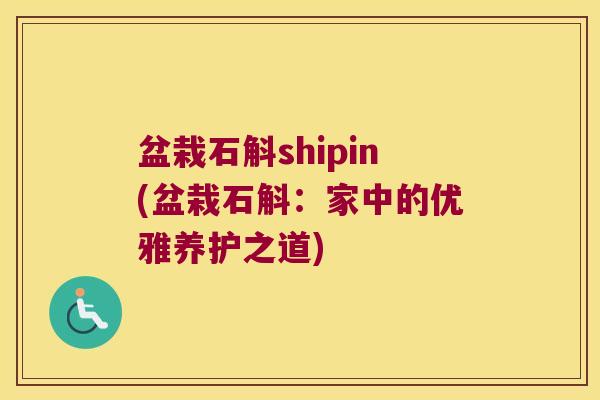 盆栽石斛shipin(盆栽石斛：家中的优雅养护之道)