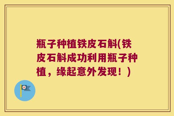 瓶子种植铁皮石斛(铁皮石斛成功利用瓶子种植，缘起意外发现！)