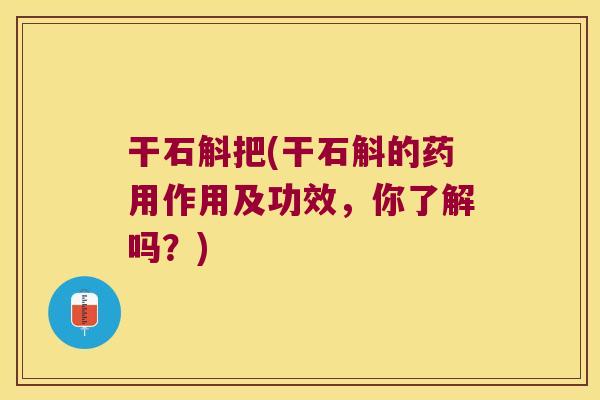 干石斛把(干石斛的药用作用及功效,你了解吗?) 干石斛把(干石斛的药用作用及功效,你了解吗?)
