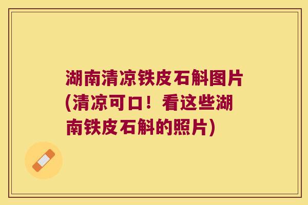 湖南清凉铁皮石斛图片(清凉可口！看这些湖南铁皮石斛的照片)