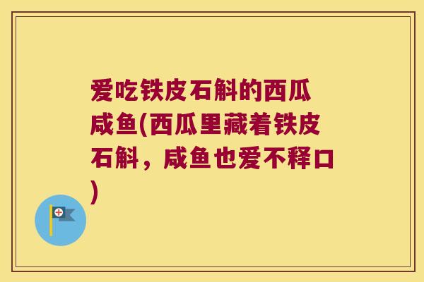 爱吃铁皮石斛的西瓜 咸鱼(西瓜里藏着铁皮石斛，咸鱼也爱不释口)