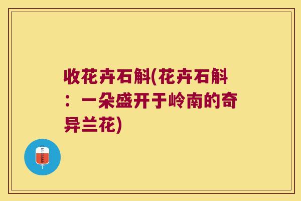 收花卉石斛(花卉石斛:一朵盛开于岭南的奇异兰花) 收花卉石斛(花卉石斛:一朵盛开于岭南的奇异兰花)