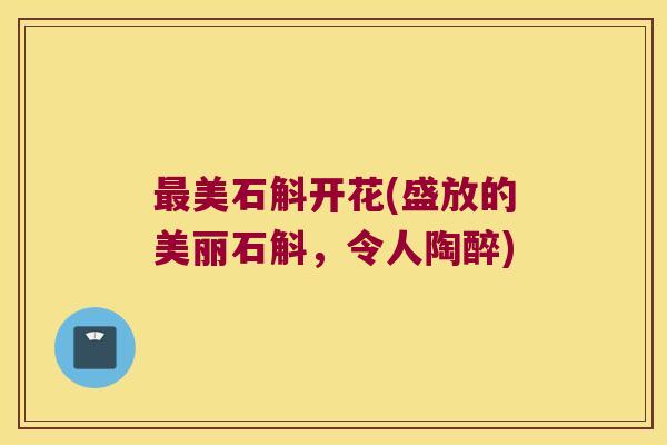 最美石斛开花(盛放的美丽石斛，令人陶醉)