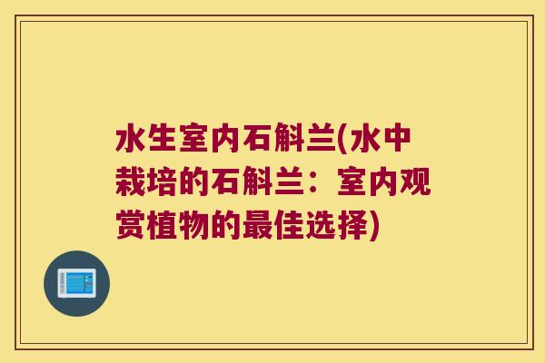 水生室内石斛兰(水中栽培的石斛兰：室内观赏植物的最佳选择)