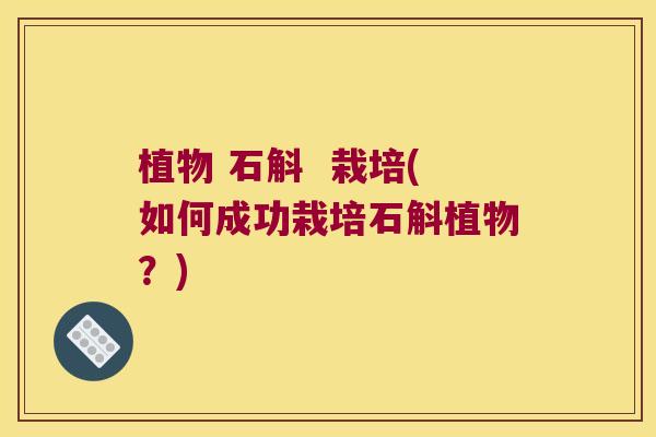 植物 石斛  栽培(如何成功栽培石斛植物？)