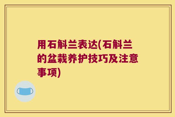 用石斛兰表达(石斛兰的盆栽养护技巧及注意事项)