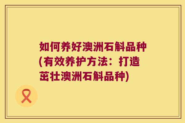 如何养好澳洲石斛品种(有效养护方法：打造茁壮澳洲石斛品种)