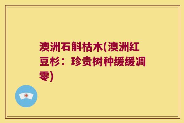 澳洲石斛枯木(澳洲红豆杉：珍贵树种缓缓凋零)