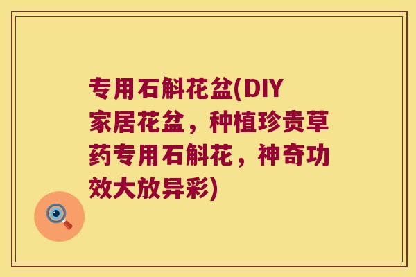 专用石斛花盆(DIY家居花盆，种植珍贵草药专用石斛花，神奇功效大放异彩)