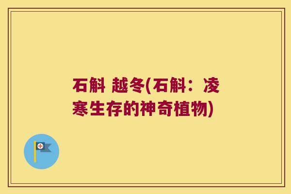 石斛 越冬(石斛：凌寒生存的神奇植物)
