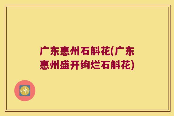 广东惠州石斛花(广东惠州盛开绚烂石斛花)