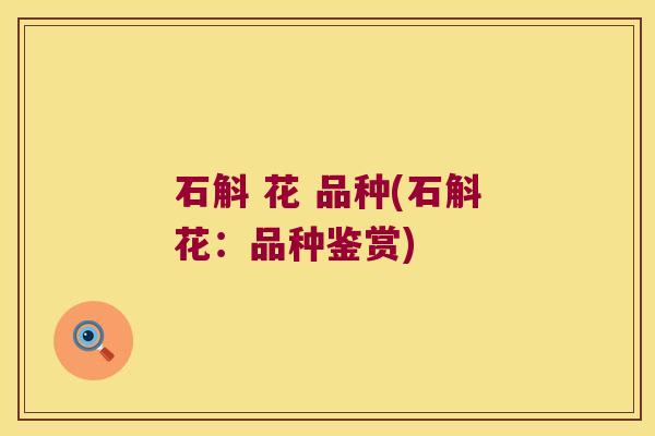 石斛 花 品种(石斛花：品种鉴赏)