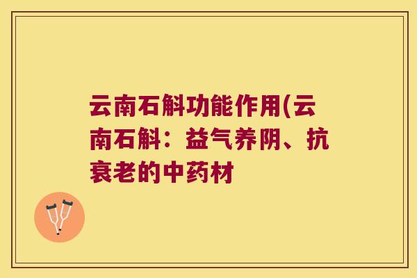 云南石斛功能作用(云南石斛：益气养阴、抗衰老的中药材