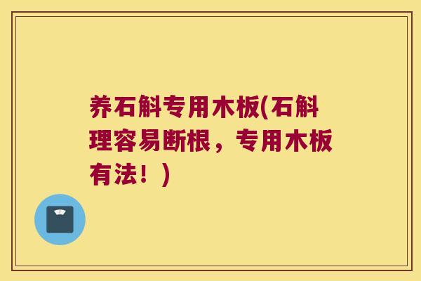 养石斛专用木板(石斛理容易断根，专用木板有法！)
