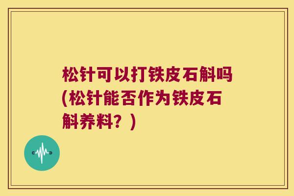 松针可以打铁皮石斛吗(松针能否作为铁皮石斛养料？)