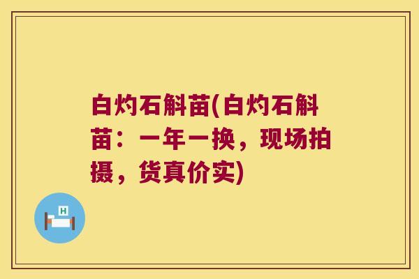 白灼石斛苗(白灼石斛苗:一年一换,现场拍摄,货真价实) 白灼石斛苗(白灼石斛苗:一年一换,现场拍摄,货真价实)