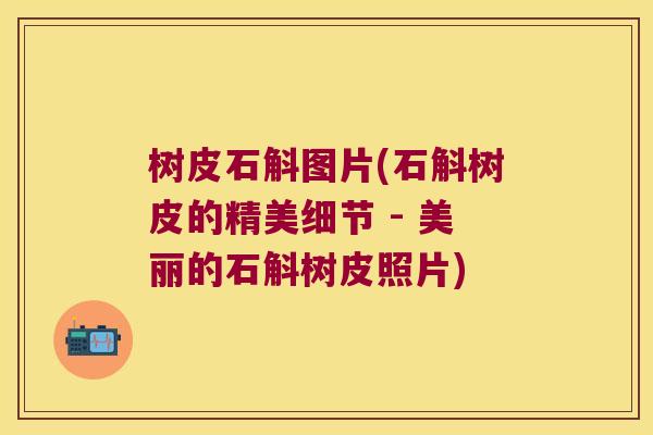树皮石斛图片(石斛树皮的精美细节 - 美丽的石斛树皮照片)