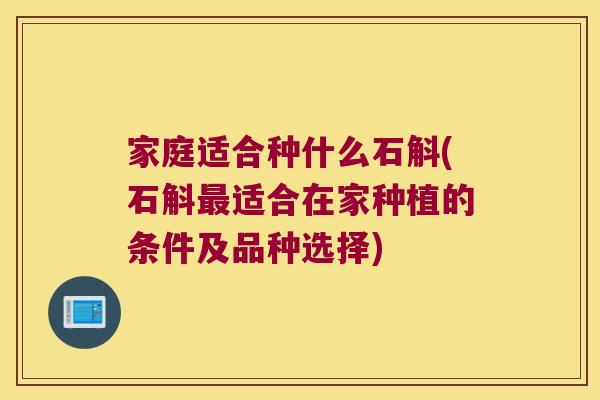 家庭适合种什么石斛(石斛最适合在家种植的条件及品种选择)