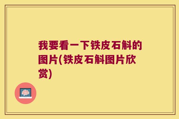 我要看一下铁皮石斛的图片(铁皮石斛图片欣赏)