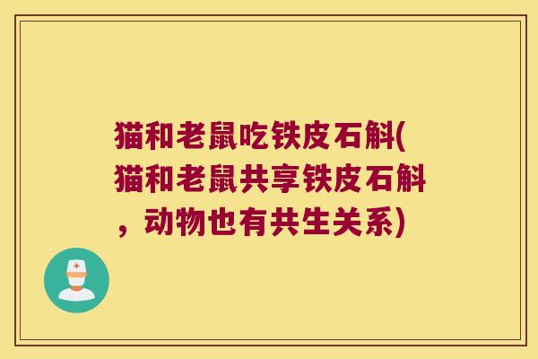猫和老鼠吃铁皮石斛(猫和老鼠共享铁皮石斛，动物也有共生关系)
