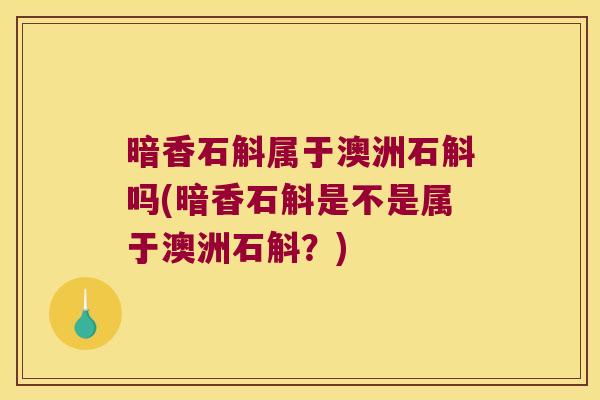 暗香石斛属于澳洲石斛吗(暗香石斛是不是属于澳洲石斛？)