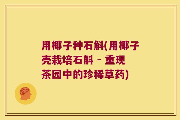 用椰子种石斛(用椰子壳栽培石斛 - 重现茶园中的珍稀草药) 用椰子种石斛(用椰子壳栽培石斛 - 重现茶园中的珍稀草药)