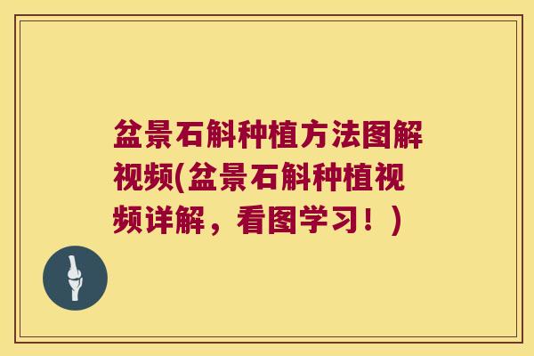 盆景石斛种植方法图解视频(盆景石斛种植视频详解，看图学习！)