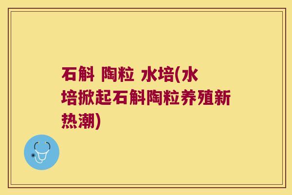 石斛 陶粒 水培(水培掀起石斛陶粒养殖新热潮)