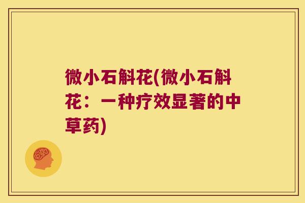 微小石斛花(微小石斛花：一种疗效显著的中草药)