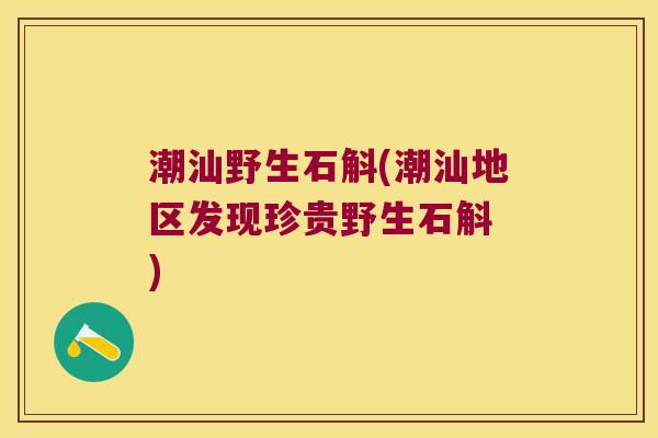 潮汕野生石斛(潮汕地区发现珍贵野生石斛 )